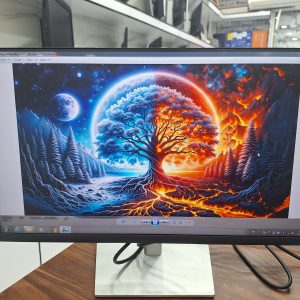 مانیتور استوک دل monitor Dell p2422h گرید A+